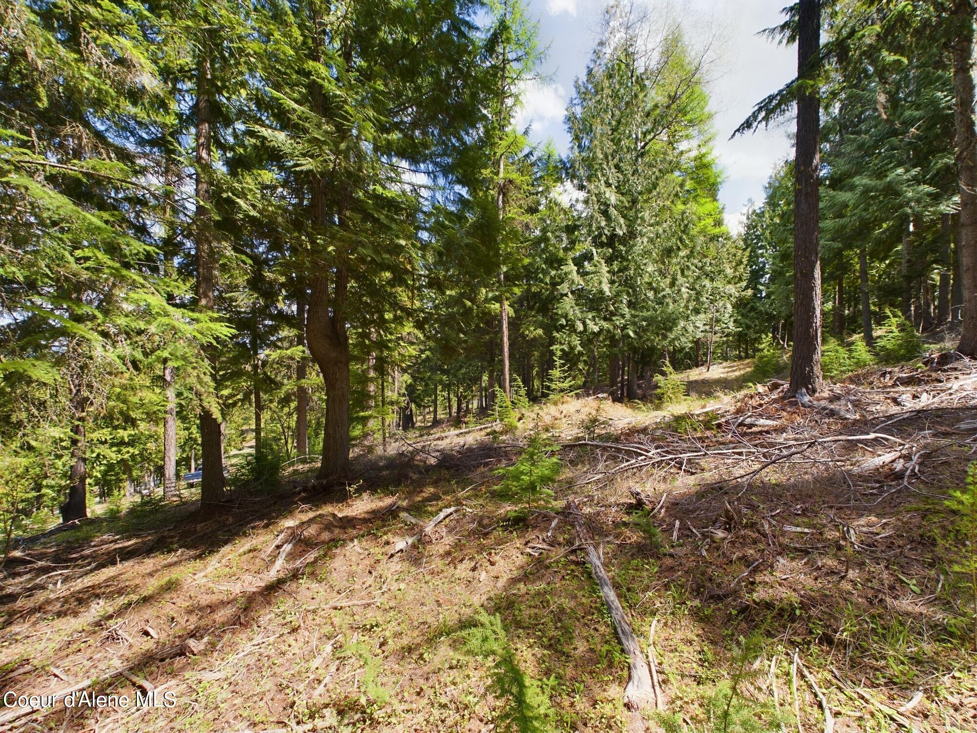 Lot 3 Moose Mountain, Kingston, Idaho image 11