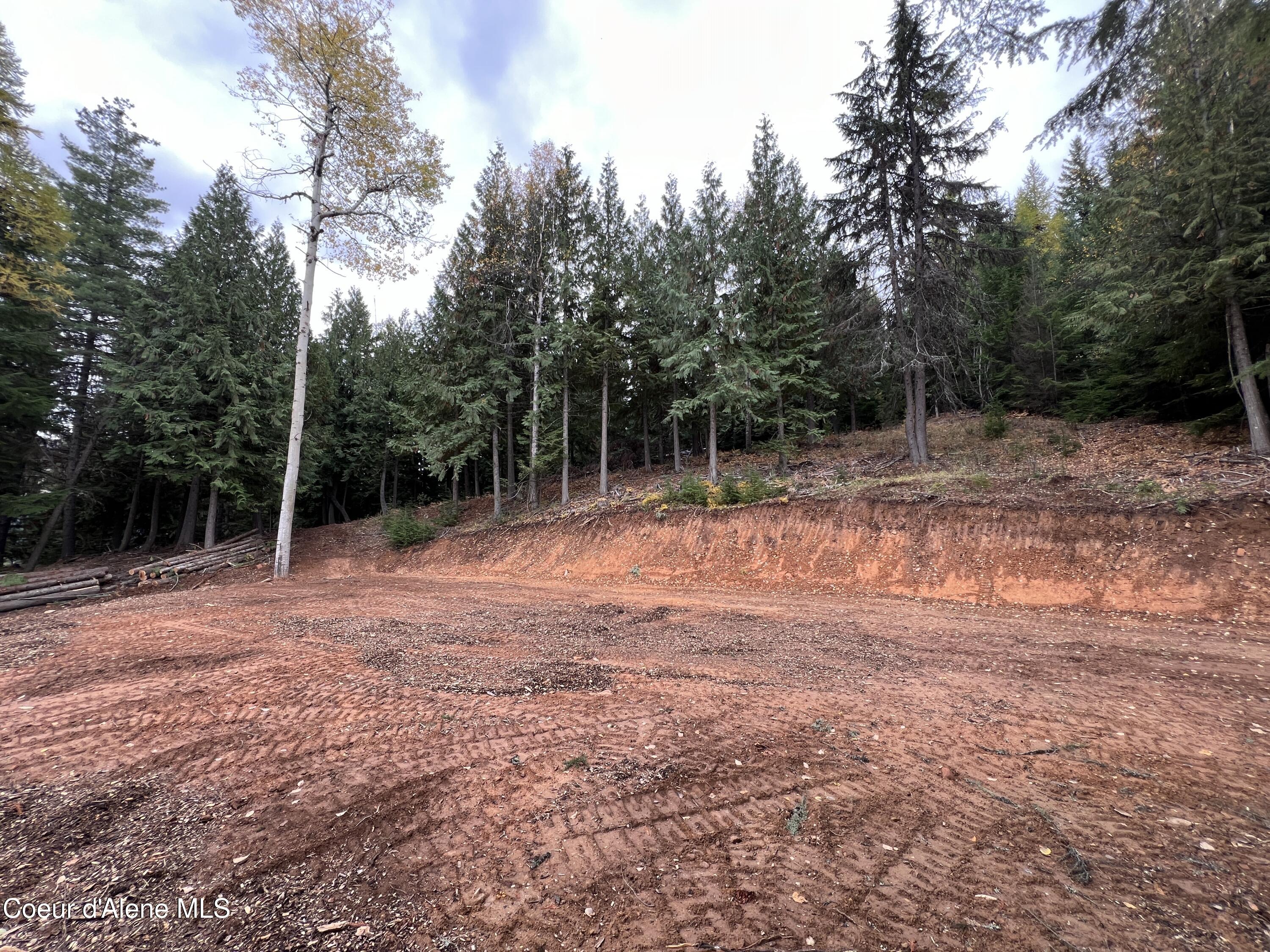 Lot 3 Moose Mountain, Kingston, Idaho image 14