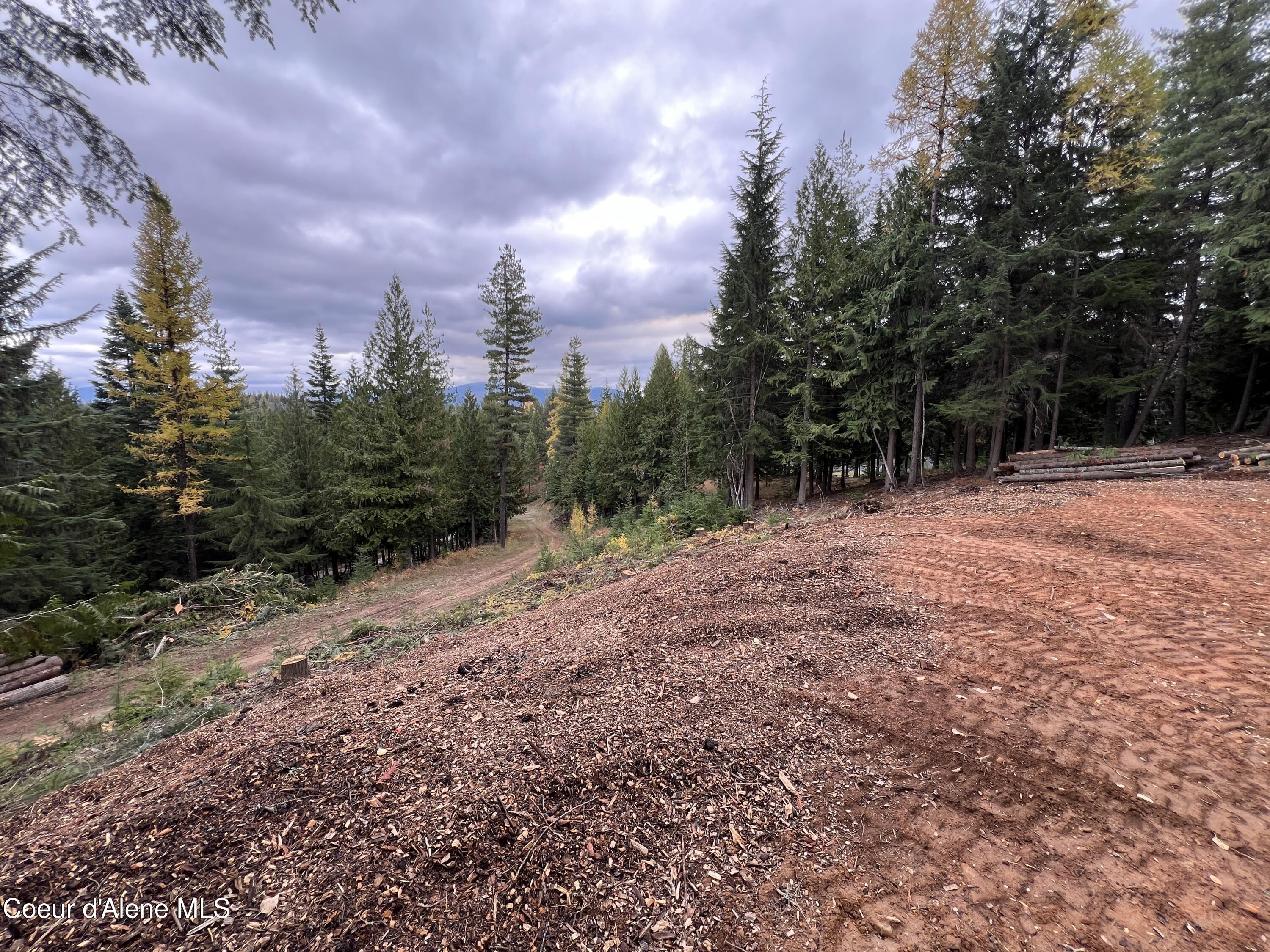 Lot 3 Moose Mountain, Kingston, Idaho image 16