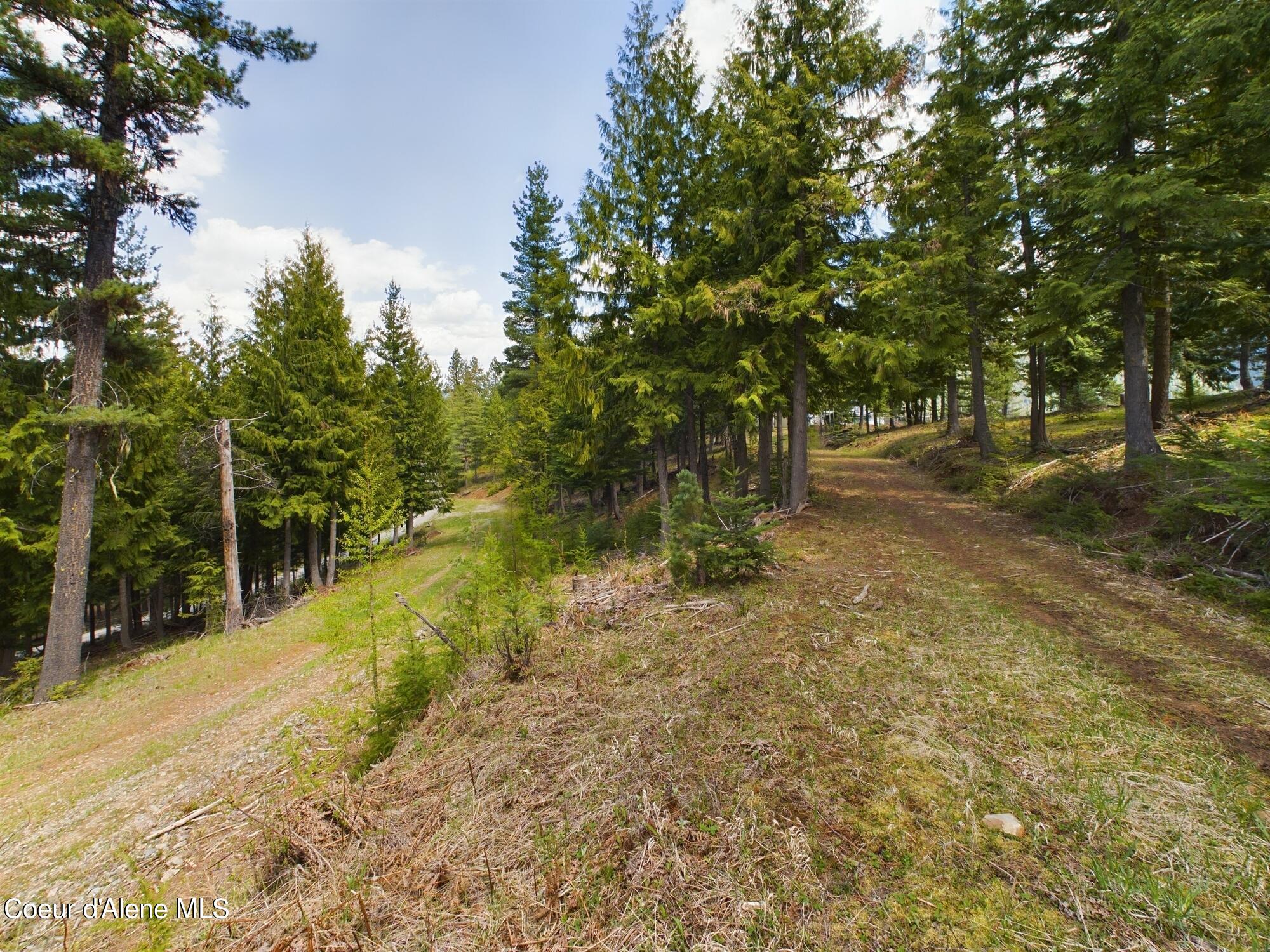 Lot 3 Moose Mountain, Kingston, Idaho image 7