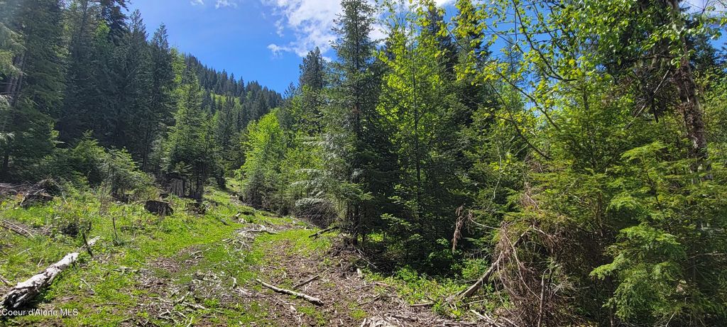 Photo of NNA Pup Paw Trail Trail, Priest River, ID 83856 (MLS # 26-5575)