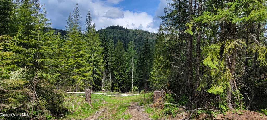 Photo of NNA Pup Paw Trail Trail, Priest River, ID 83856 (MLS # 26-5575)