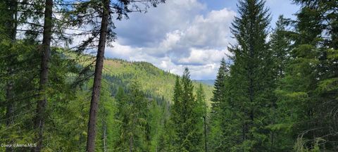 Vacant Land For Sale - NNA Pup Paw Trail Trail<br/> Priest River, ID 83856