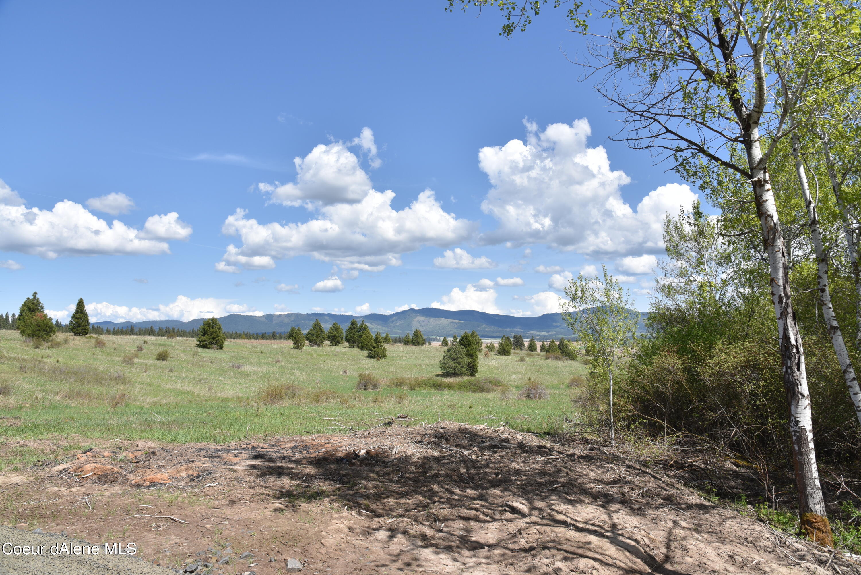 Lot 10 Warbler Lane, Desmet, Idaho image 12