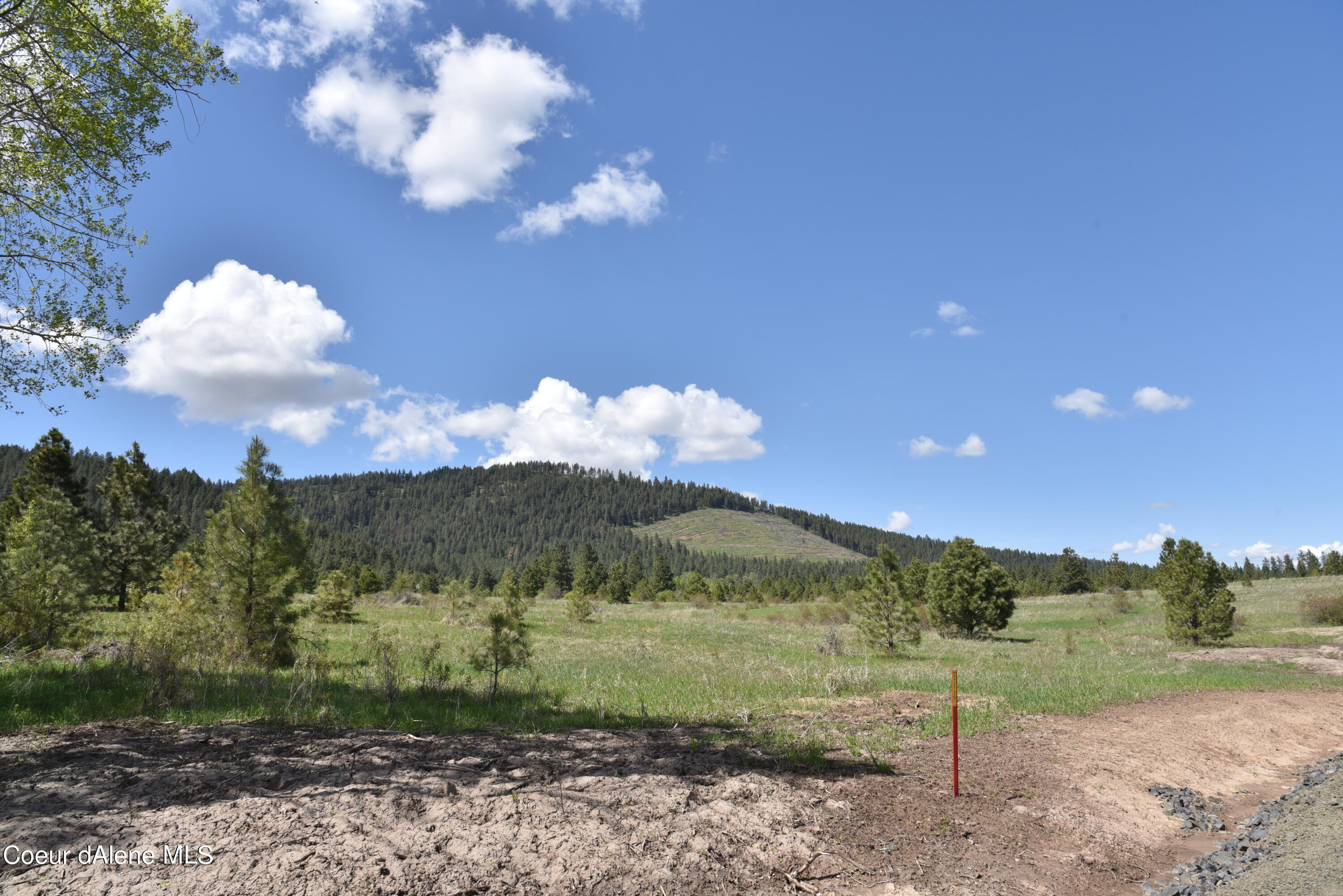 Lot 10 Warbler Lane, Desmet, Idaho image 11