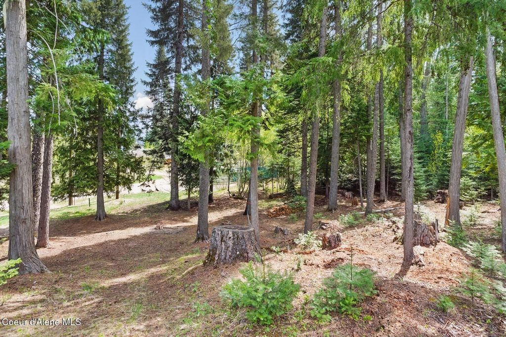 Photo of Lot 28 Bruin, Nordman, ID 83848 (MLS # 25-9961)