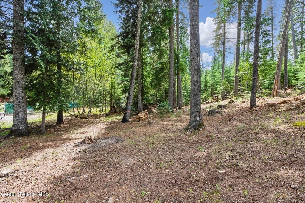 Photo of Lot 28 Bruin, Nordman, ID 83848 (MLS # 25-9961)