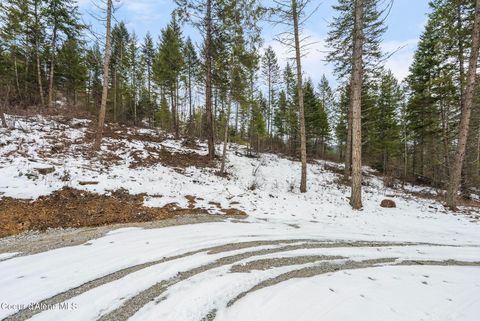 Vacant Land For Sale - LOT 4 Settlers Lane Lane<br/> Cocolalla, ID 83813