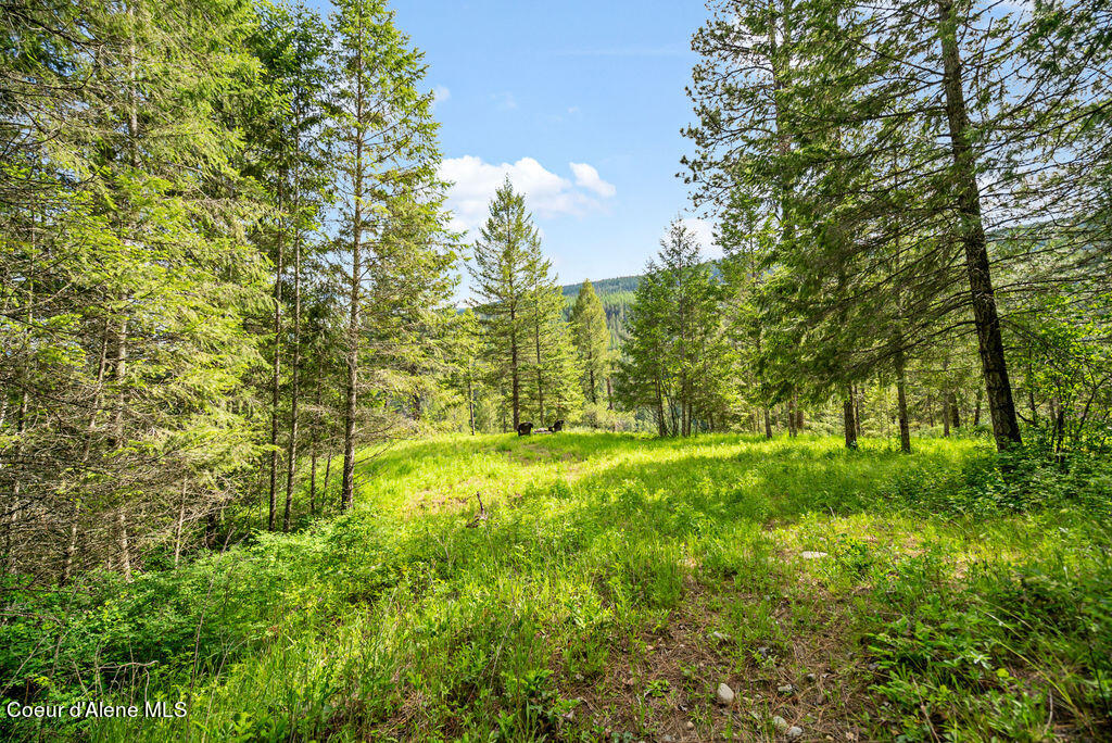 335 Settlers Ln, Moyie Springs, Idaho image 38