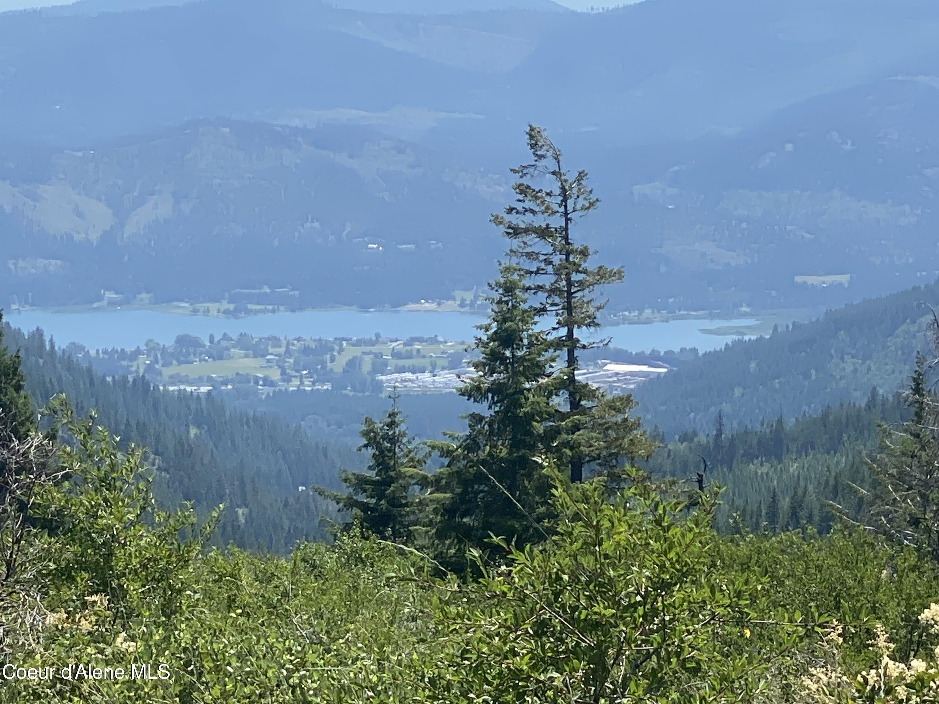 4802 Upper Manley Creek Rd, Laclede, Alaska image 1