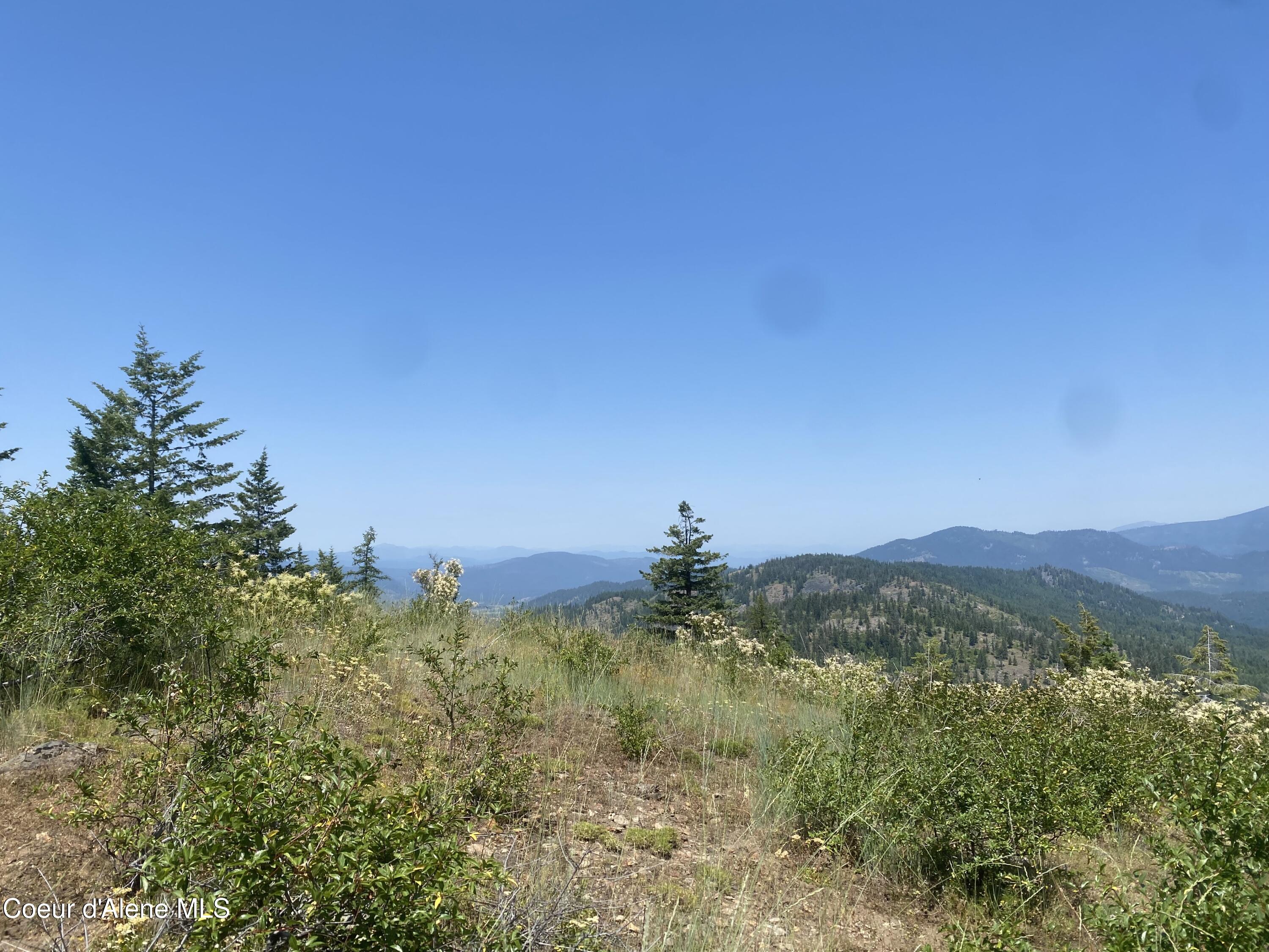 4802 Upper Manley Creek Rd, Laclede, Alaska image 5
