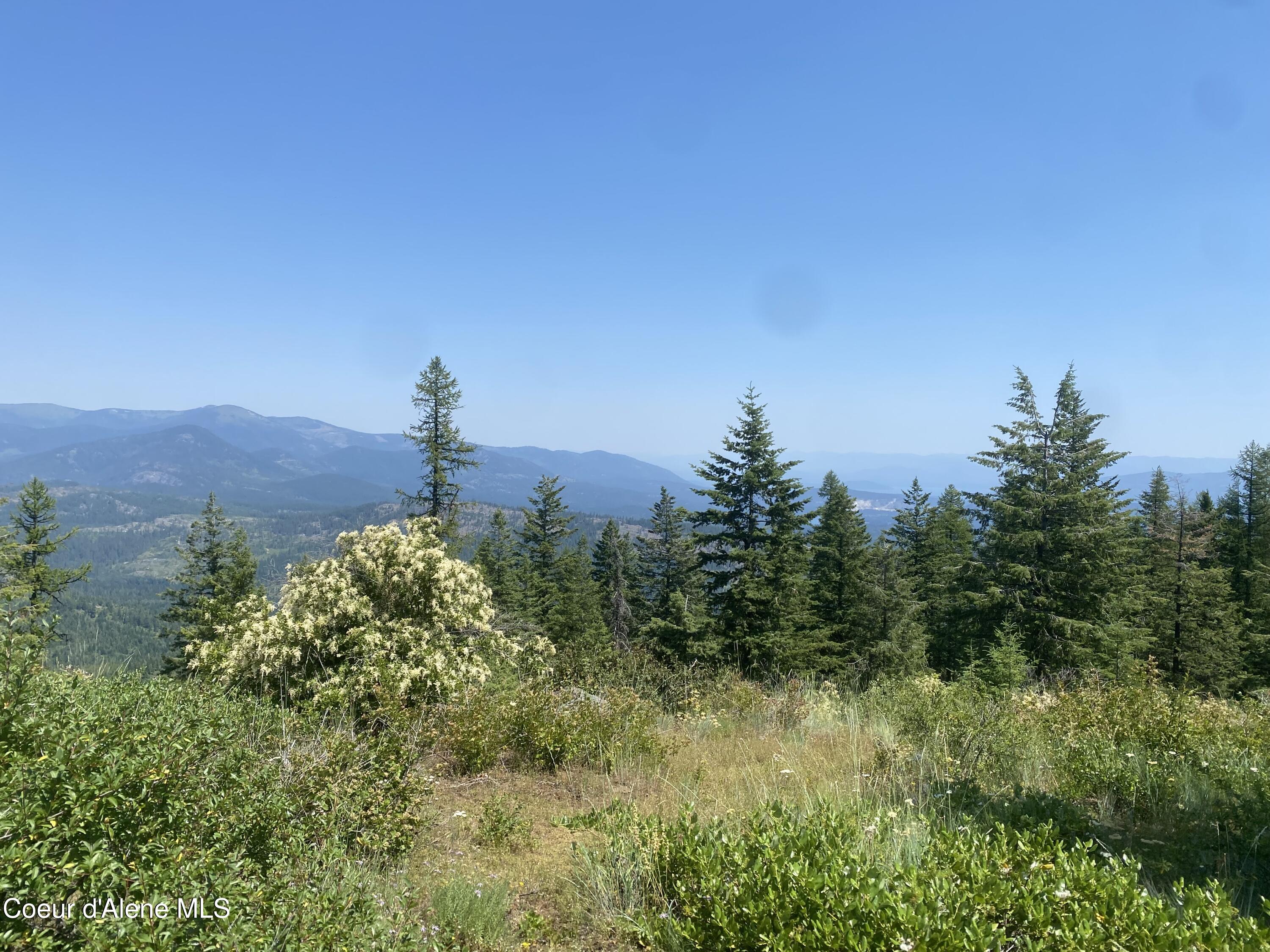 4802 Upper Manley Creek Rd, Laclede, Alaska image 2