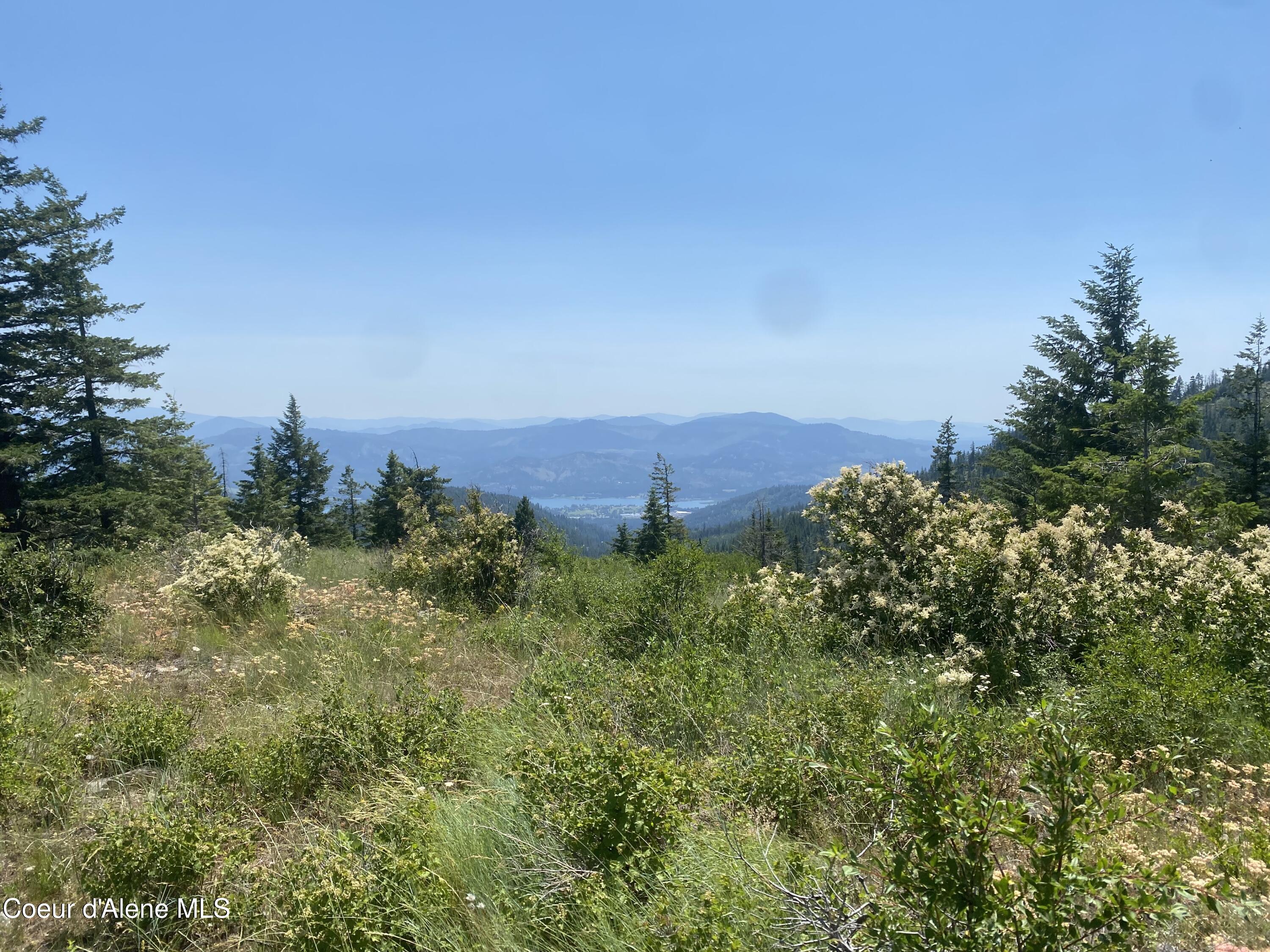 4802 Upper Manley Creek Rd, Laclede, Alaska image 4