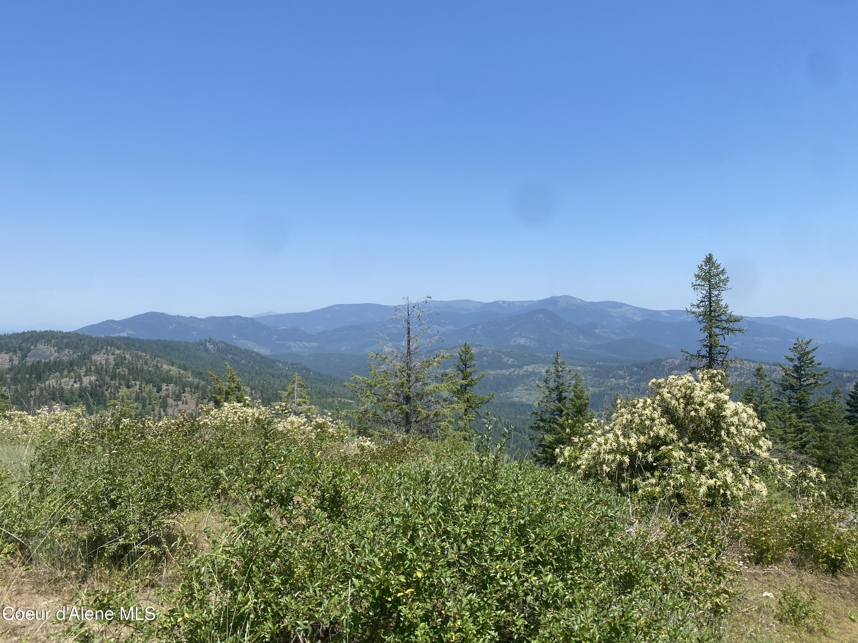 4802 Upper Manley Creek Rd, Laclede, Alaska image 6