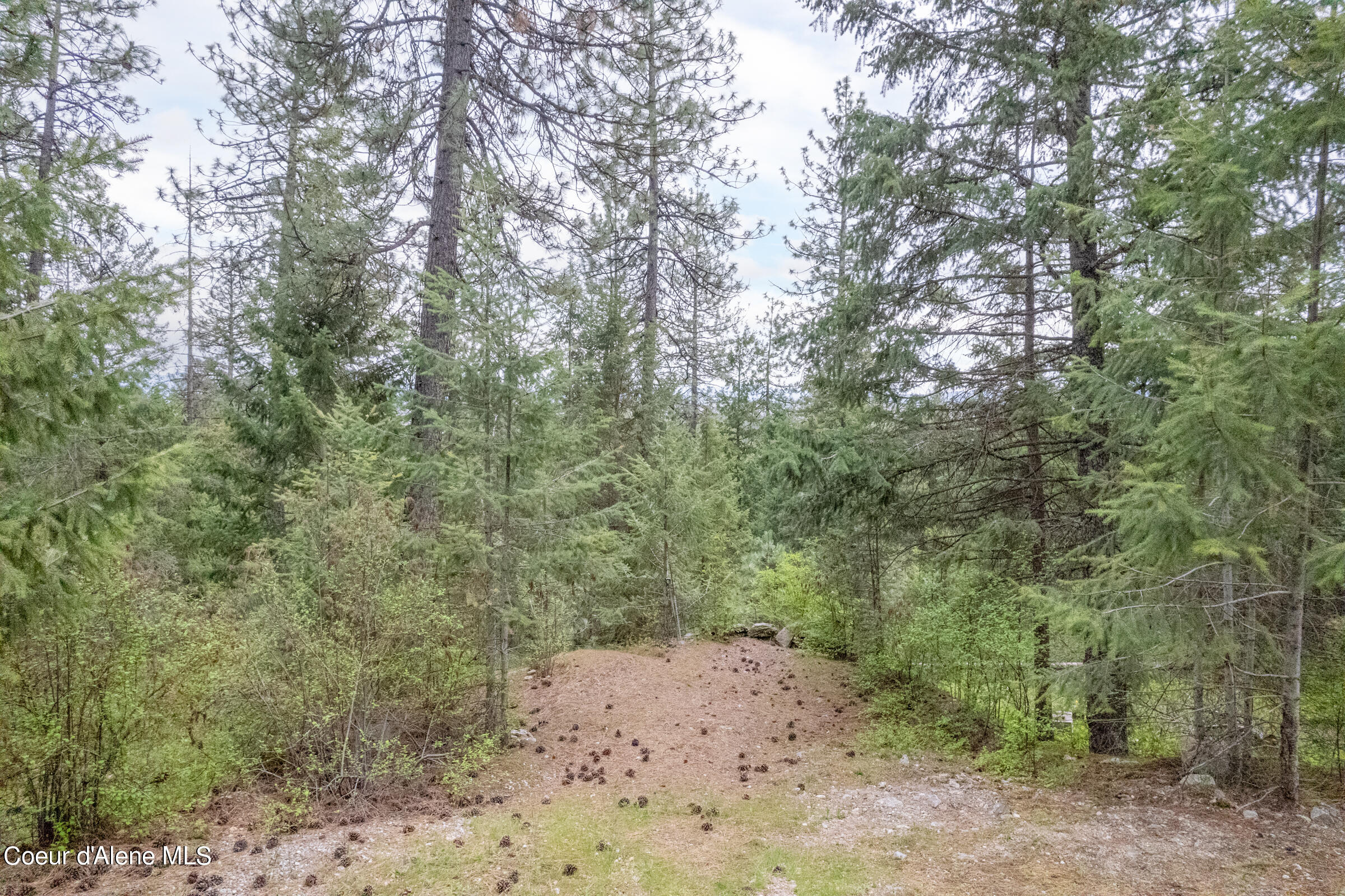 9626 W Hidden Valley, Rathdrum, Idaho image 30