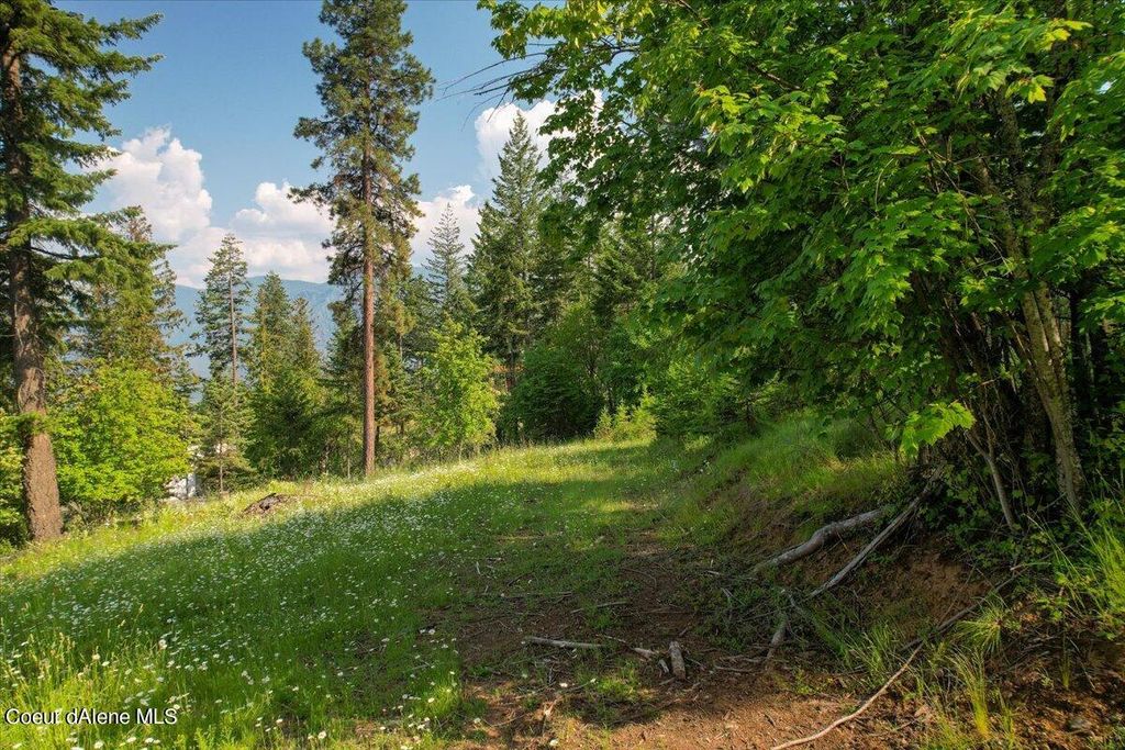 Photo of 661 Midas, Sagle, ID 83860 (MLS # 26-3330)