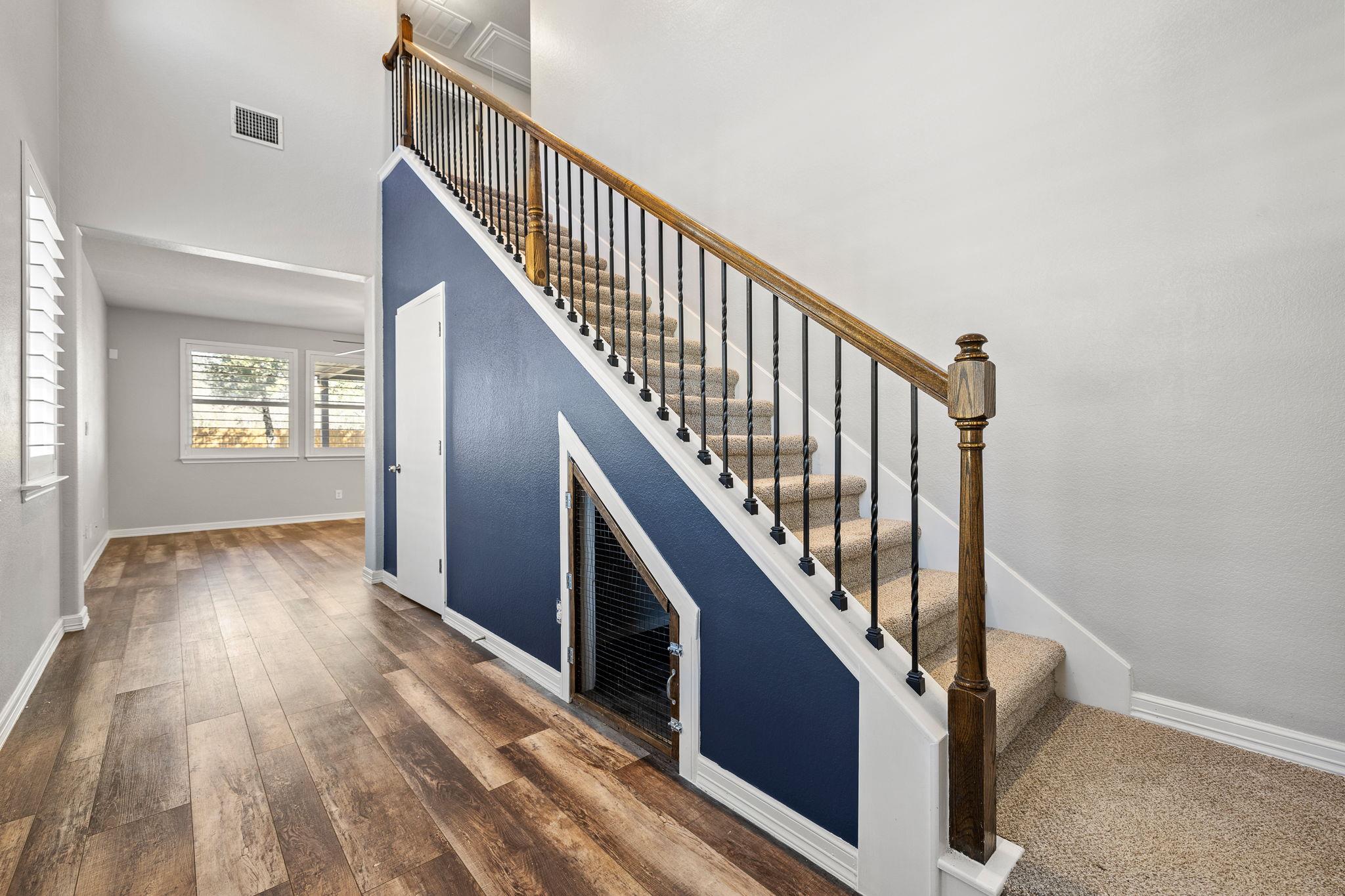 529 Cinnamon Teal LN