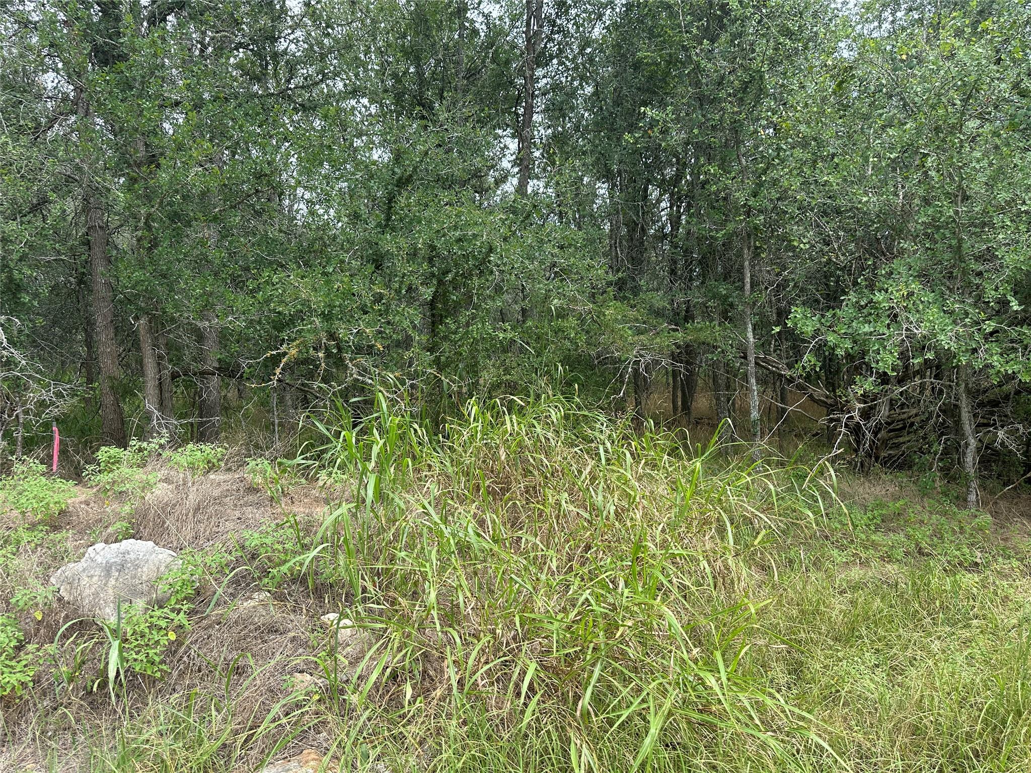 109 Halawa CT