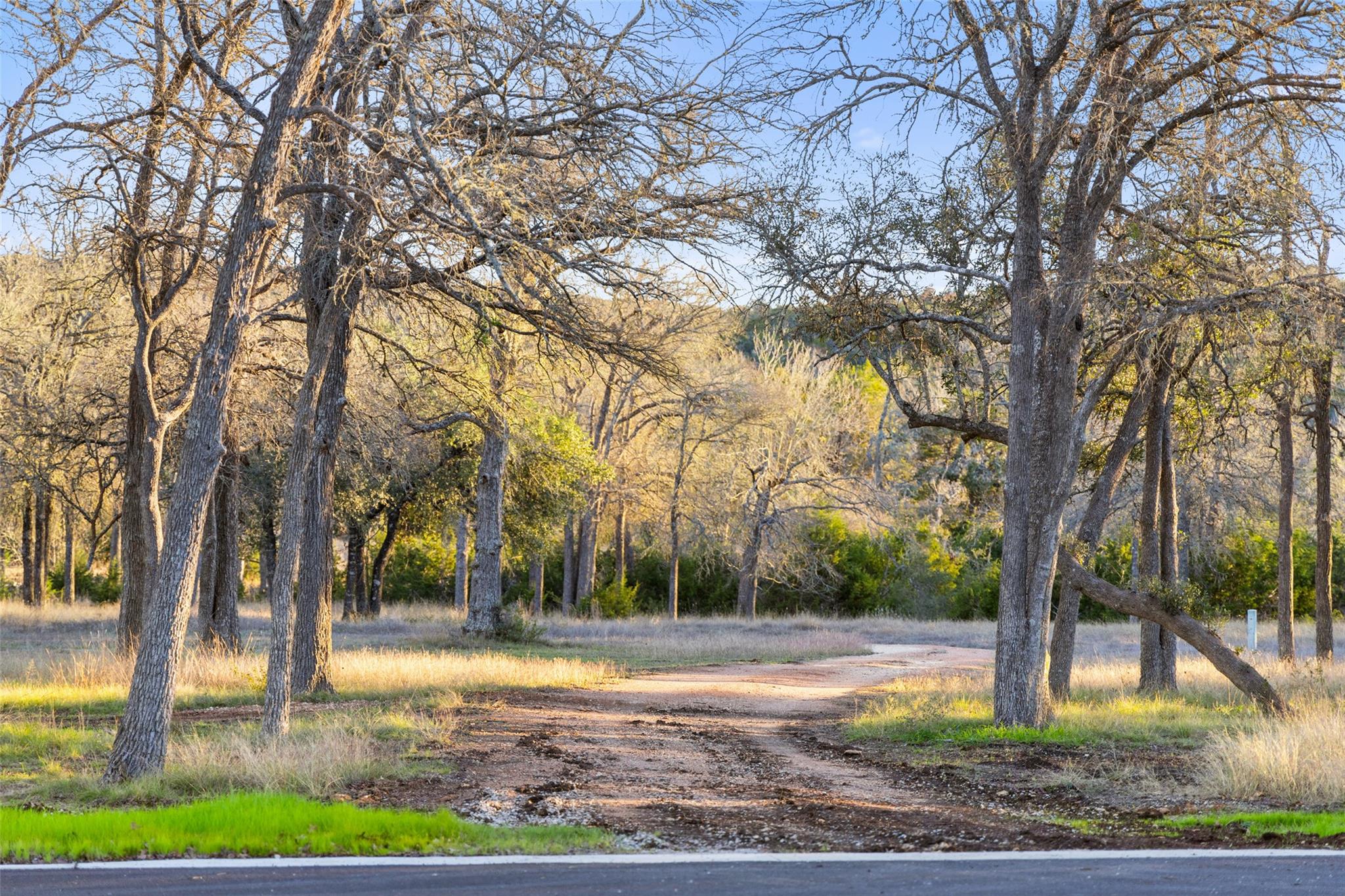 Lot 25 Mesa Ranch RD
