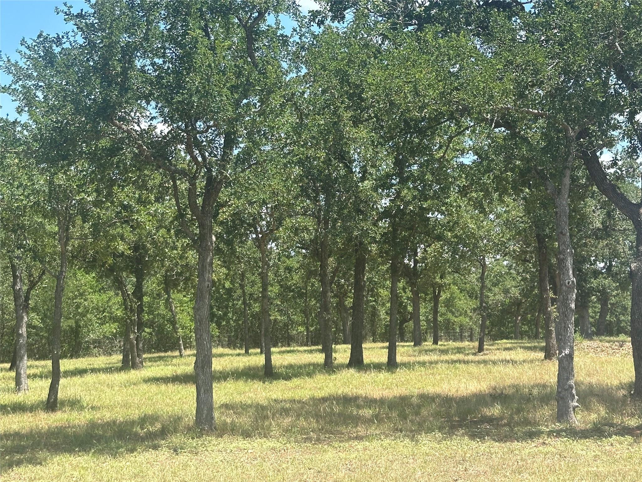 1231 Oak Grove RD