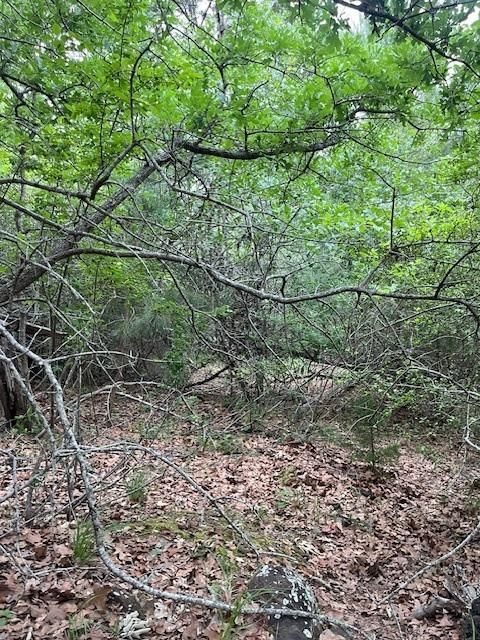 Photo of Lot 1603 Ulupau CIR, Bastrop, TX 78602 (MLS # 6312869)