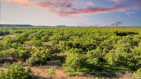 Photo of 2186 Fm 1028, Rochelle, TX 76872 (MLS # 6533609)