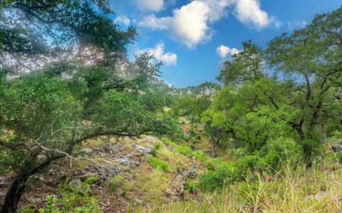 Tiny photo for 123 Vicinity TRL, Spicewood, TX 78669 (MLS # 3136269)