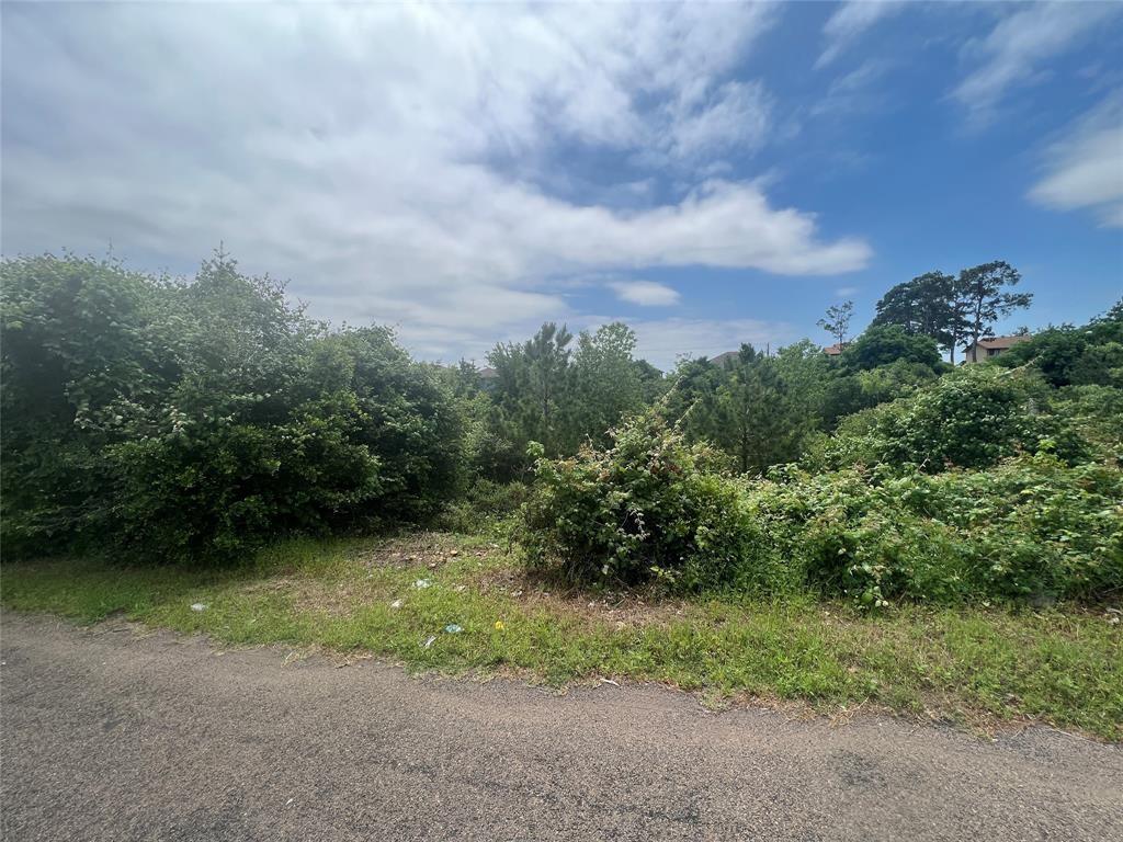Photo 1 of 3 — TBDD Pahala CT, Bastrop, TX 78602