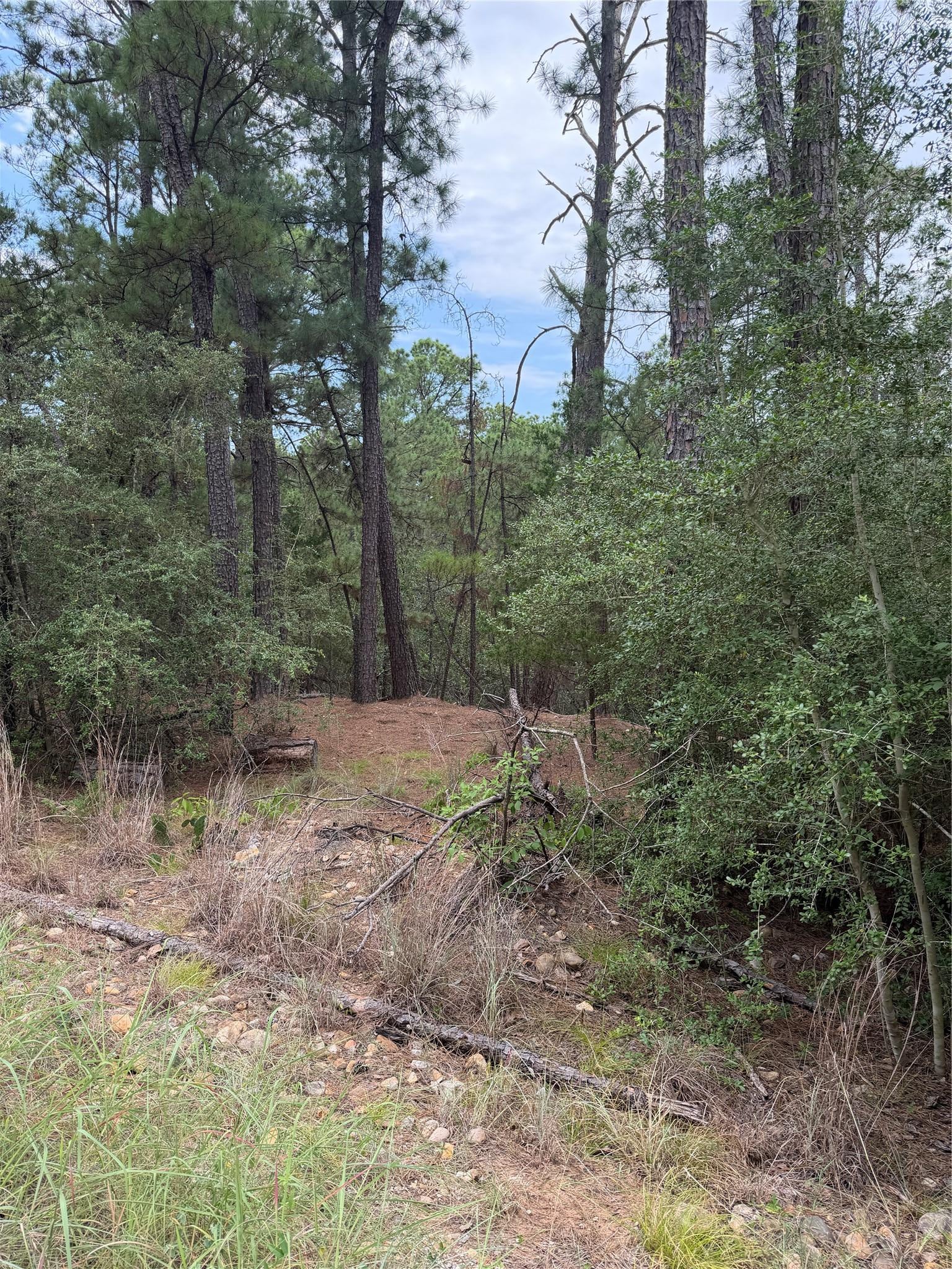 Lot 217 Hekili DR