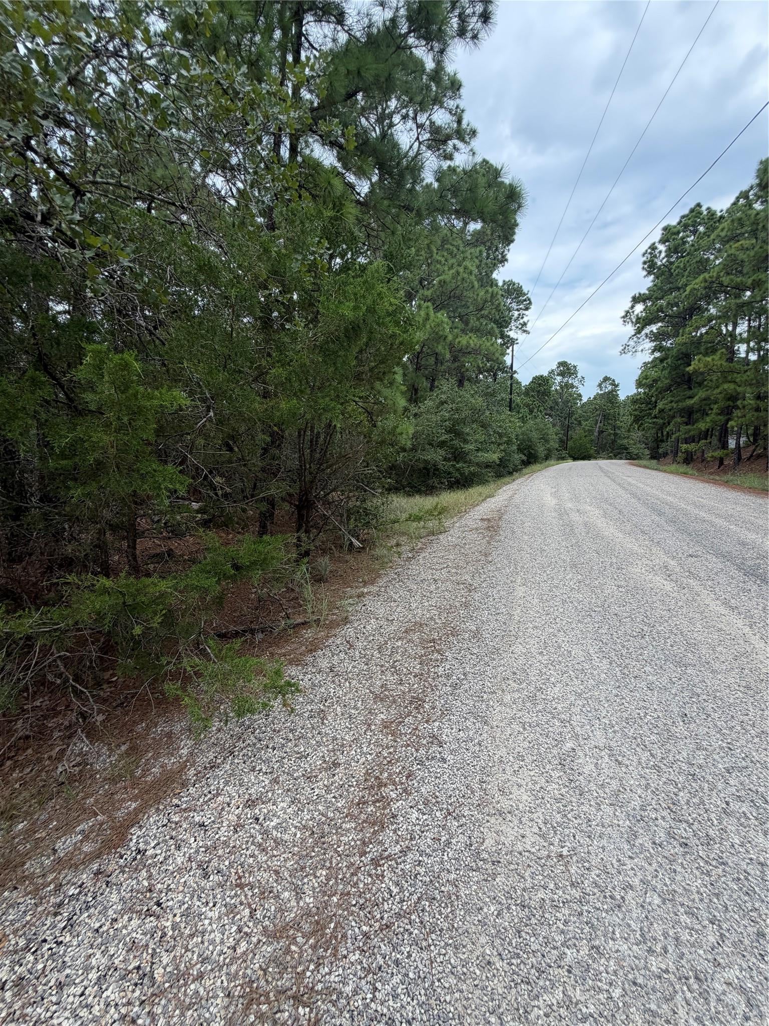 Lot 217 Hekili DR