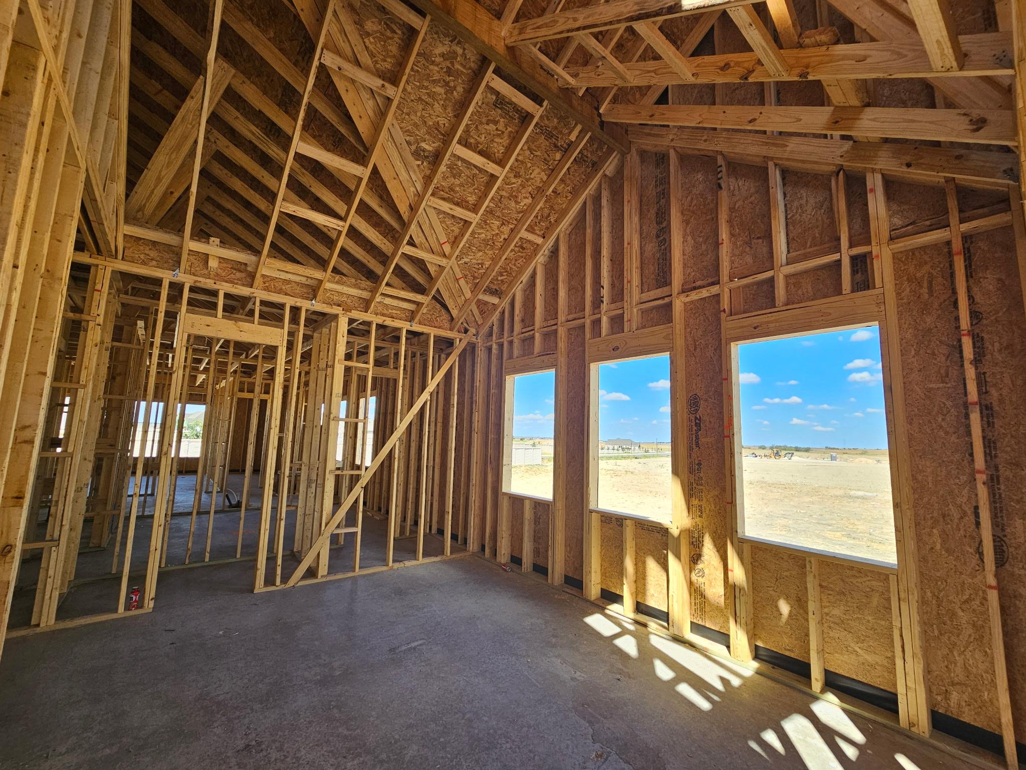 19608 Domino Champ RD