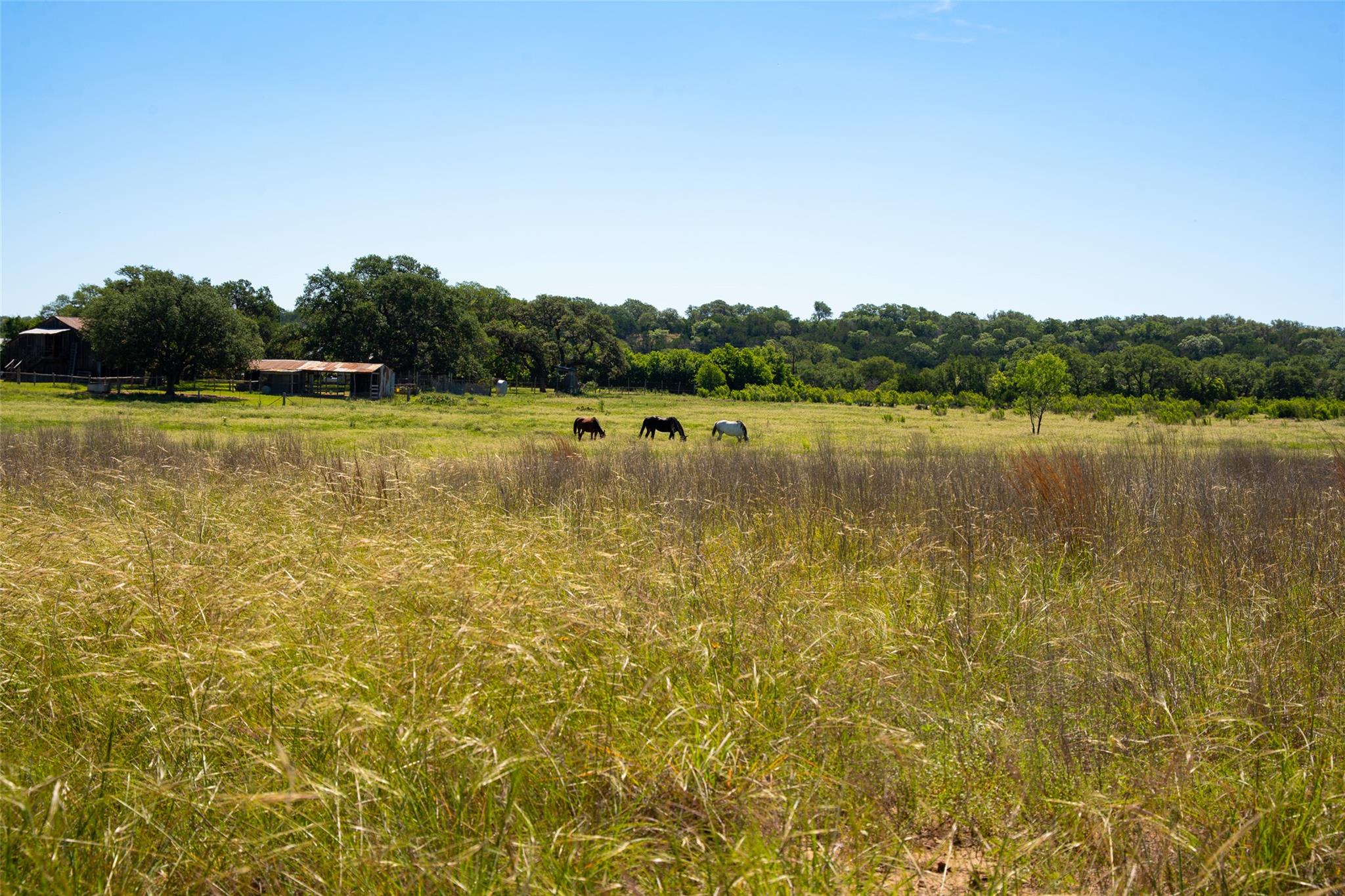 1294 Crabapple Road RD