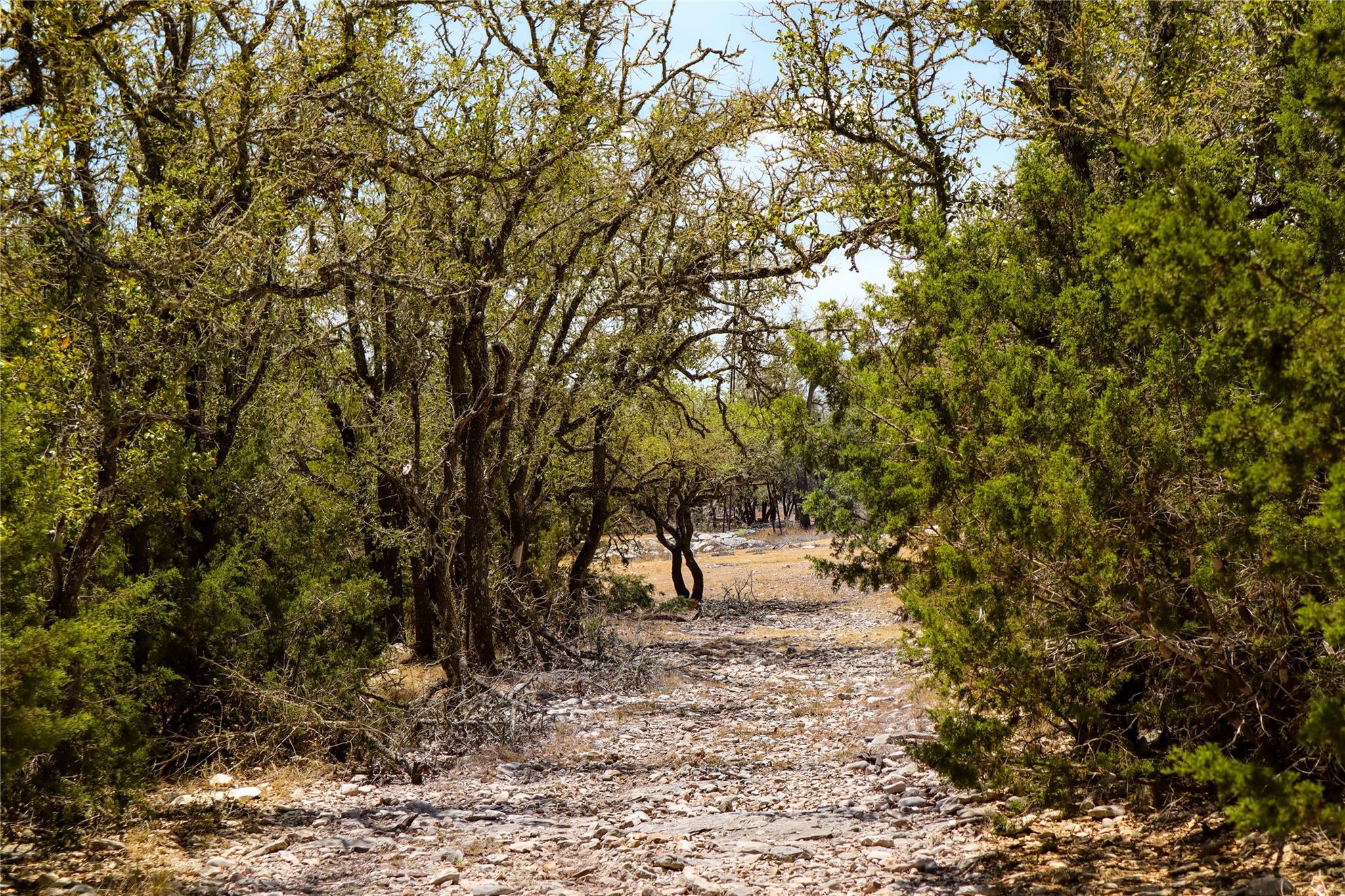 50acres US-83 Highway 50acres