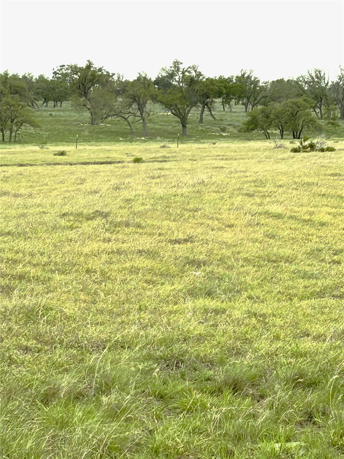 tract 13 Ranch Ed 783 RDS
