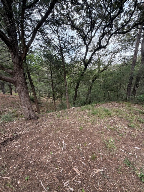Photo of Lot 293 Aka CT, Bastrop, TX 78602 (MLS # 4381881)