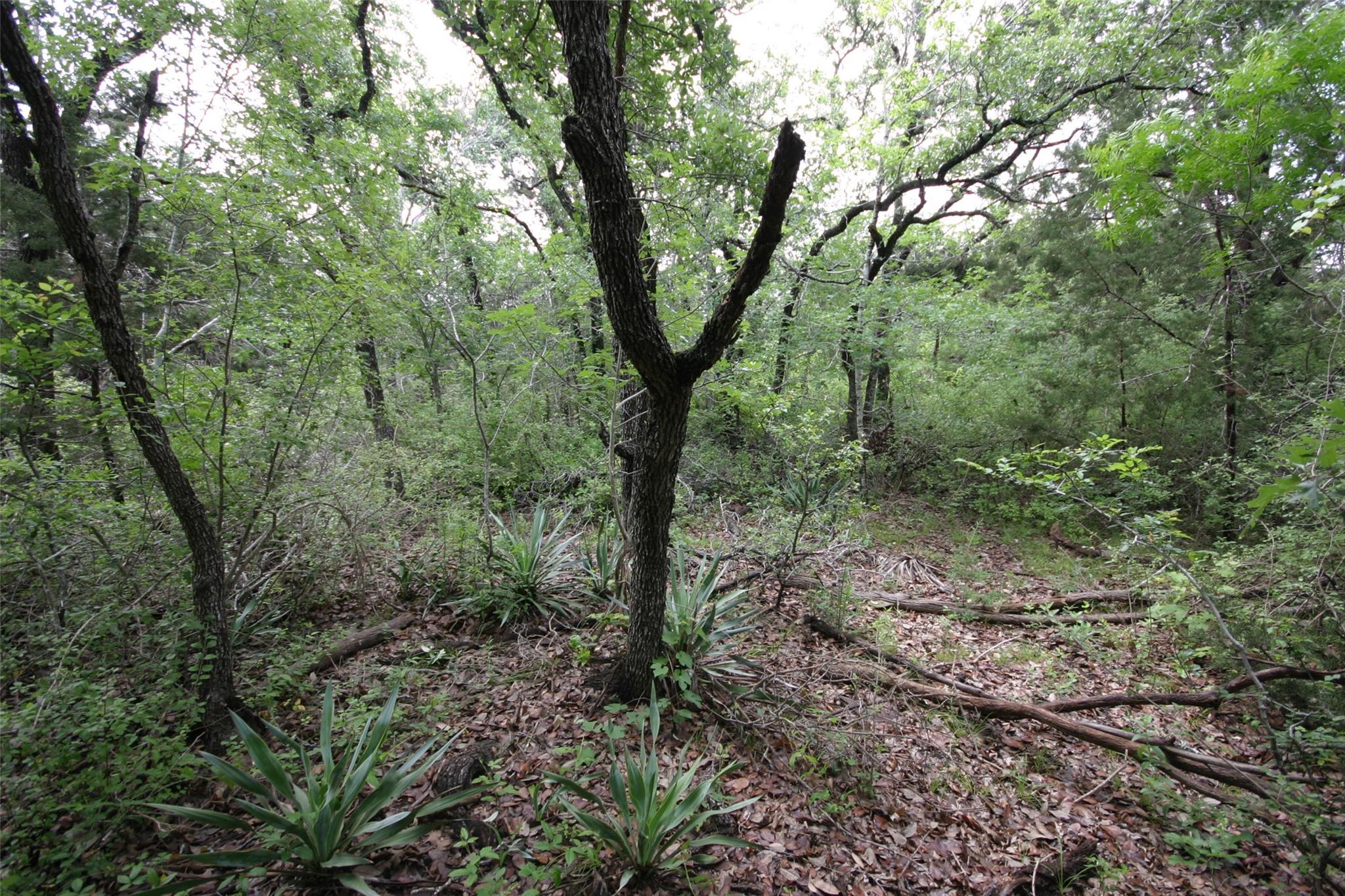 1900 County Road 156