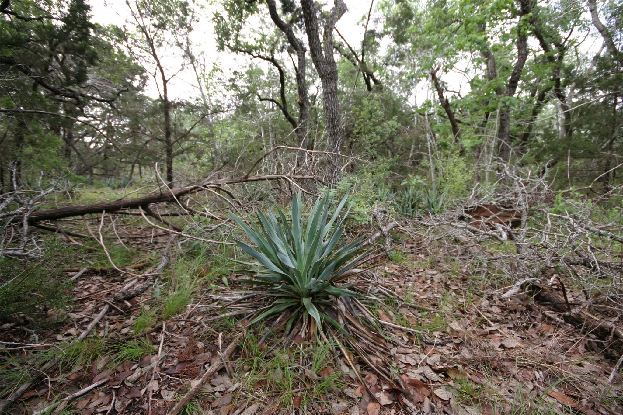 1900 County Road 156