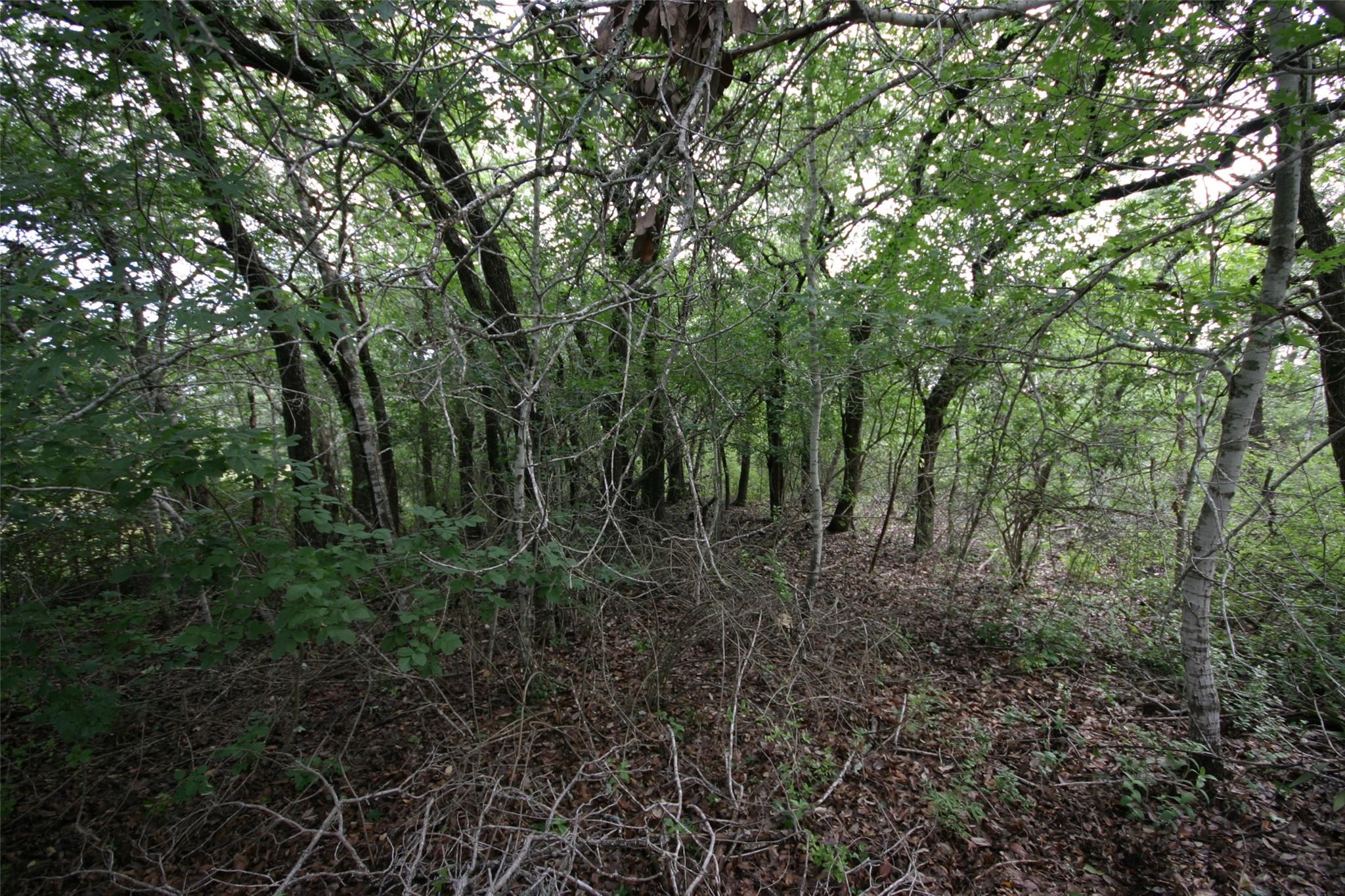 1900 County Road 156