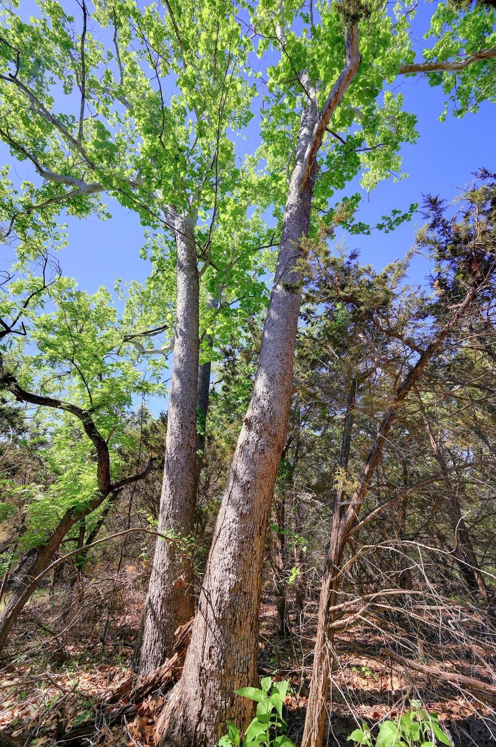 324 E Headwaters Ranch RD