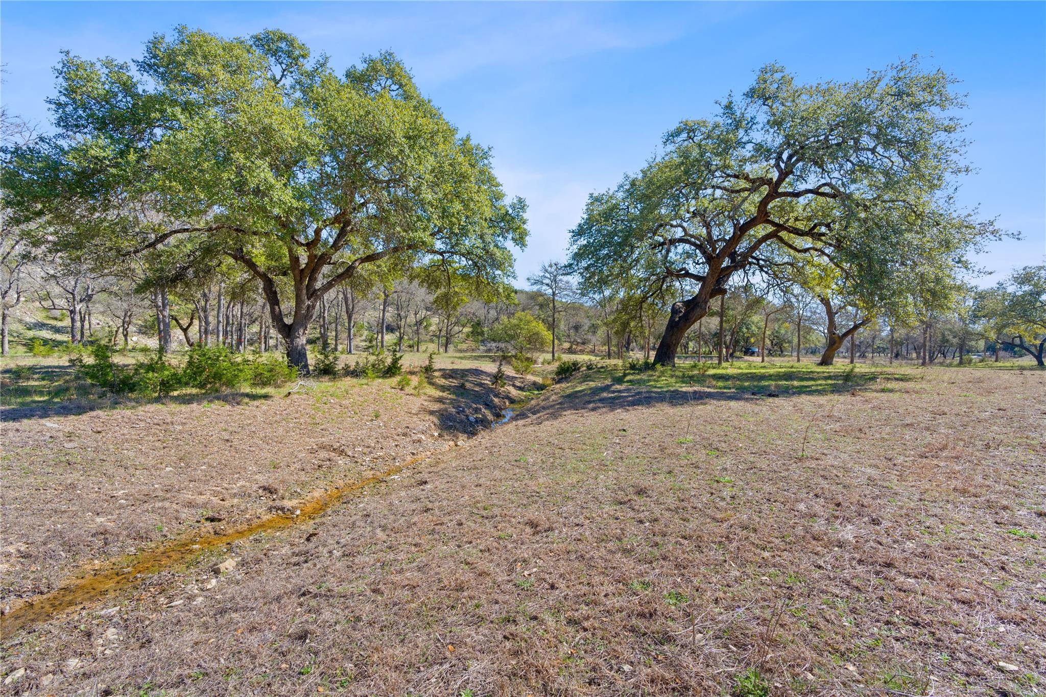 105 Camp Springs LN