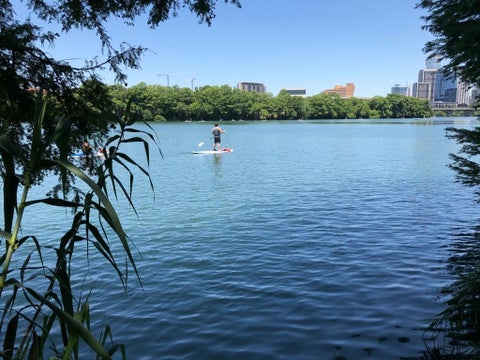 Tiny photo for 54 Rainey ST #703, Austin, TX 78701 (MLS # 4364272)