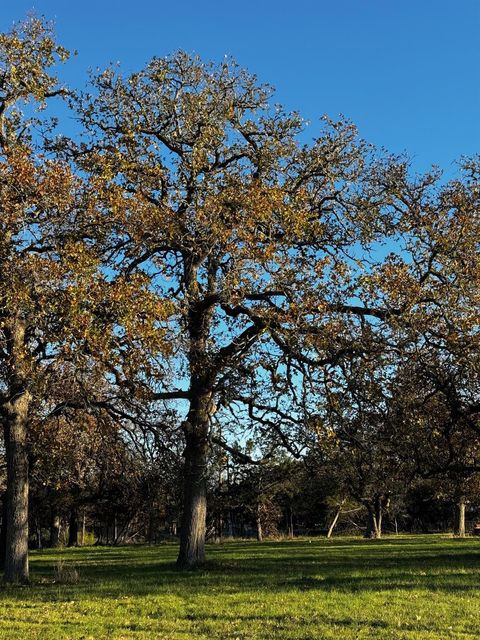 244 Buckskin PASS Driftwood TX 78619