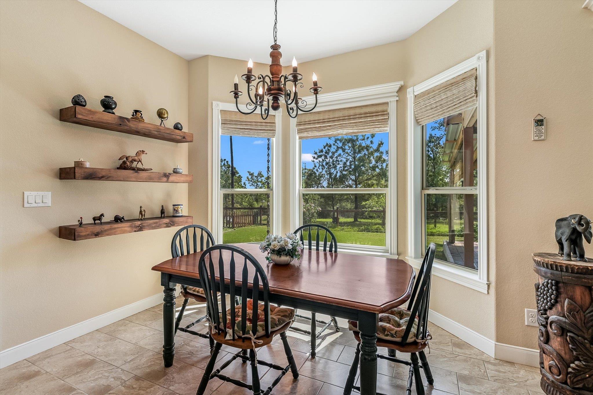 117 E Tanglebriar CT 11