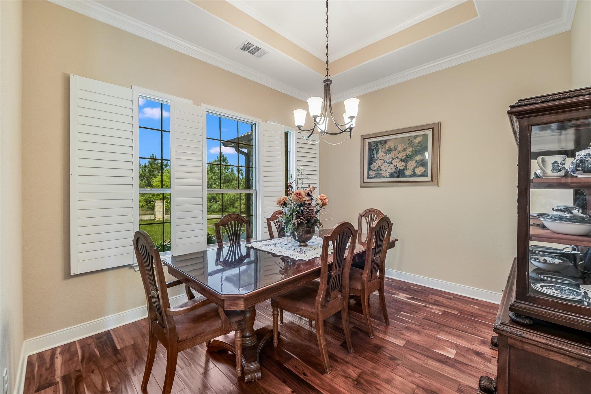 117 E Tanglebriar CT 11