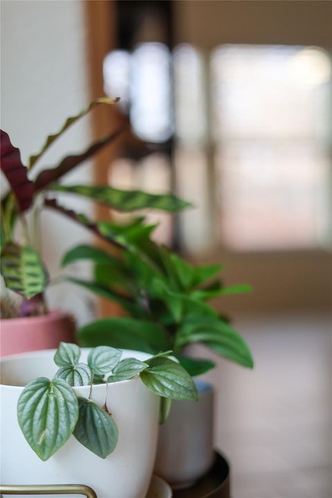 Tiny photo for 10024 Deer Chase TRL, Austin, TX 78747 (MLS # 2122897)