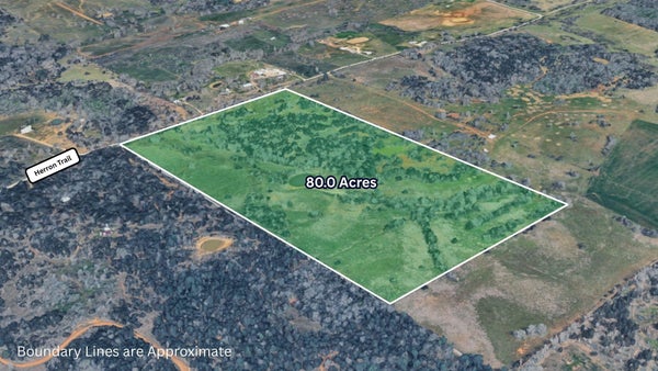 446 HERRON TRL, MCDADE, TX 78650 - Image 078e5961399f85fa1bc09d349540b430/3270274862