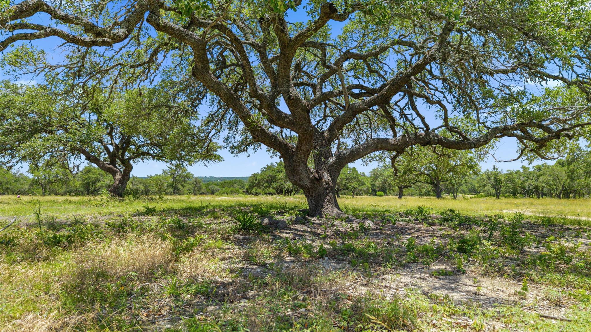 936 Lot 2 Lindeman LN