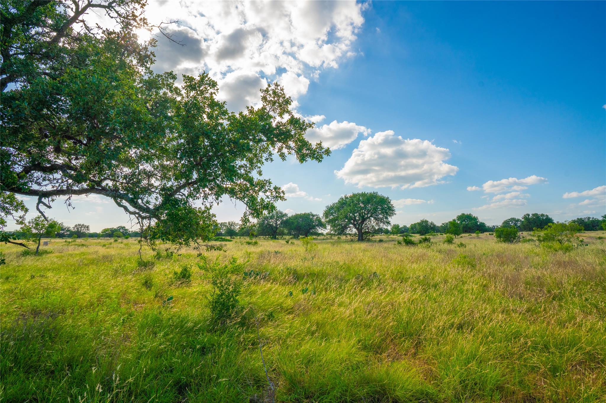 0000 Long View Ranch