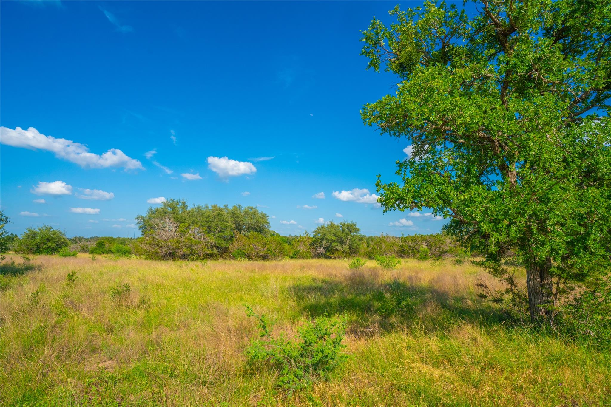 0000 Long View Ranch