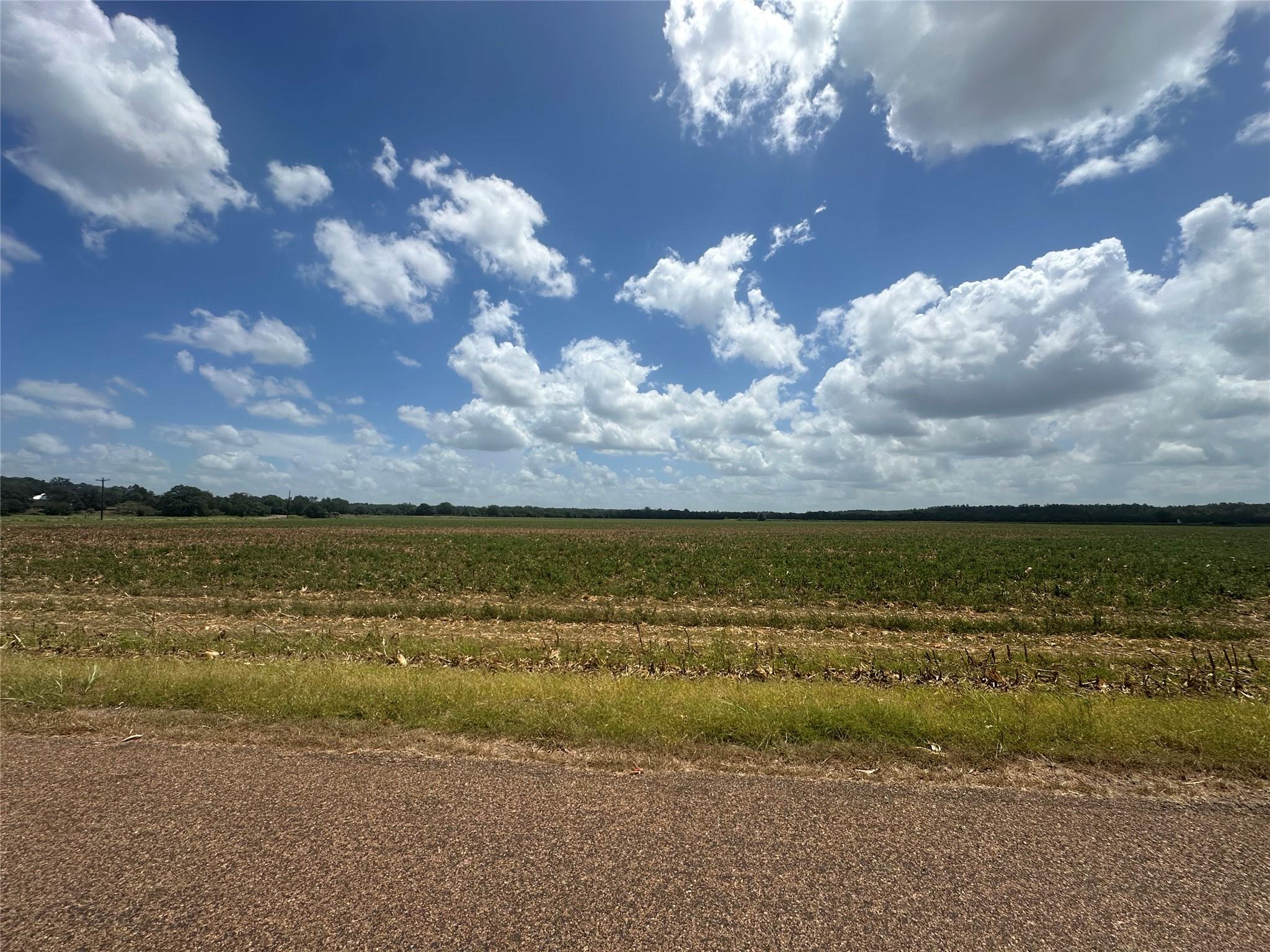 0000 Rabbs Prairie RD